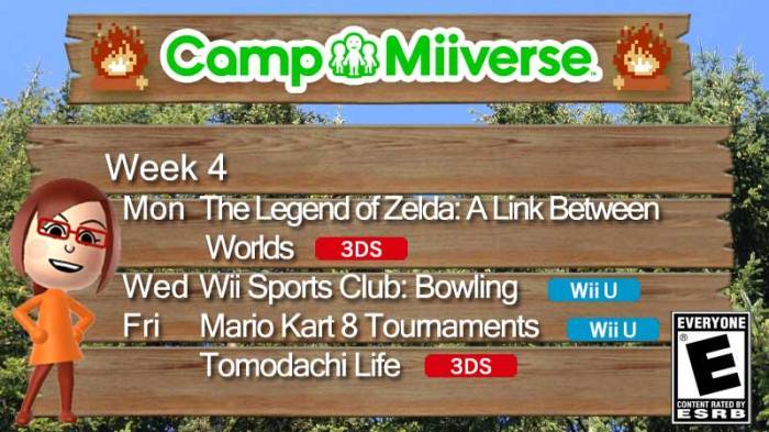 Camp Miiverse