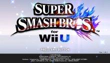 Super Smash Bros for Wii U
