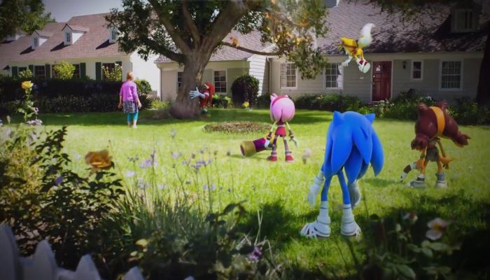Sonic Boom Shattered Crystal