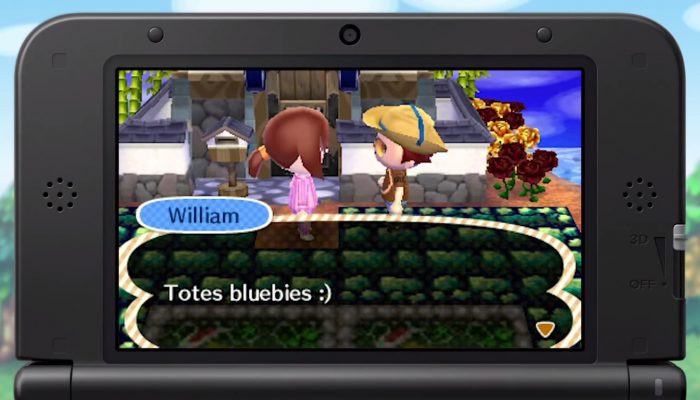 Animal Crossing: New Leaf – Nintendo Amy visits Miiverse with Dream Suite