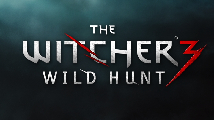 Media Create Top 20 The Witcher 3 Wild Hunt