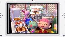 Animal Crossing Happy Home Designer