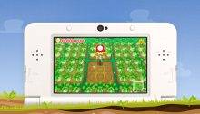 Story of Seasons