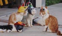 Monster Hunter