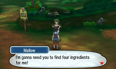 Pokémon Sun Moon