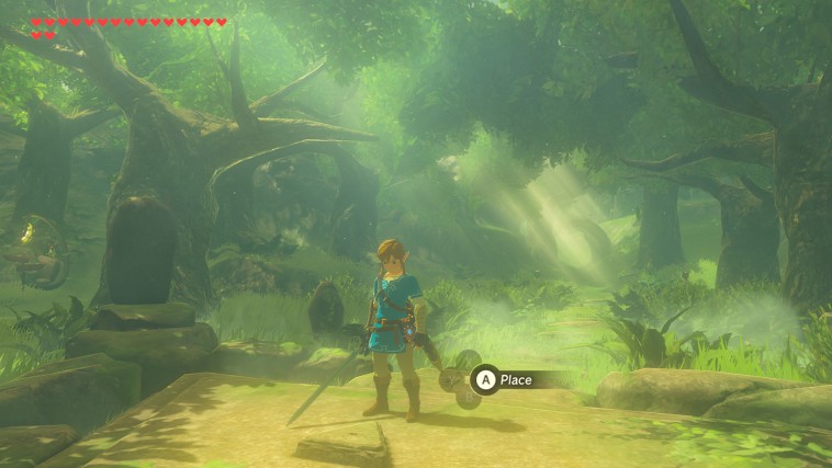 The Legend of Zelda Breath of the Wild