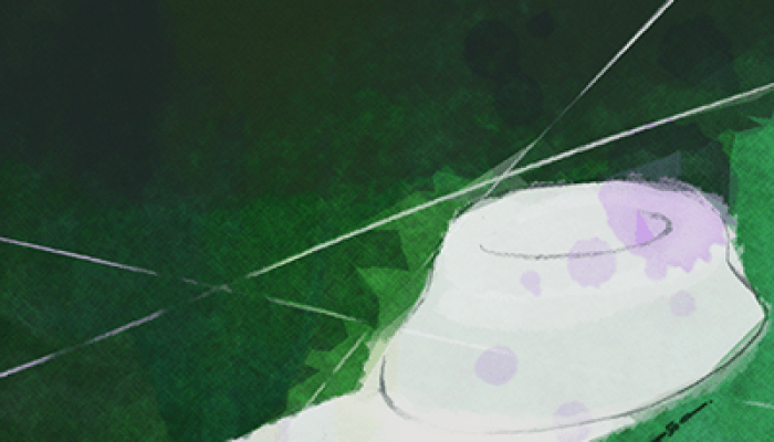 Squid Sisters Stories: Chapter 2