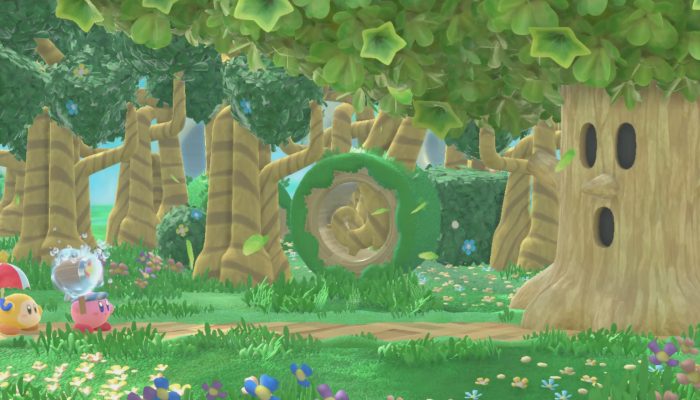 Kirby Star Allies