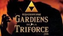 Gardiens de la Triforce