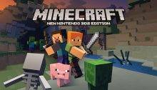 Minecraft New Nintendo 3DS Edition