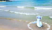 Pokémon Go AR Photo Contest