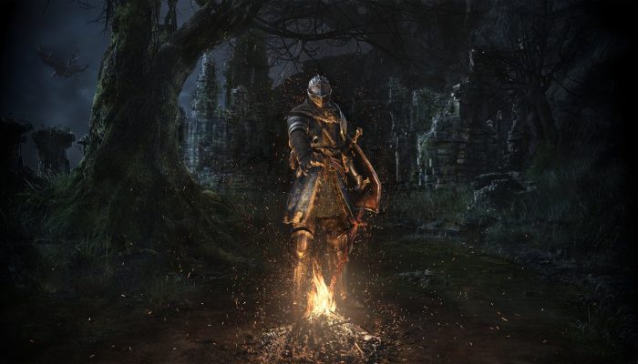 Dark Souls Remastered soon getting a free network test
