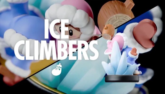 Check out the Ice Climbers amiibo in 360°