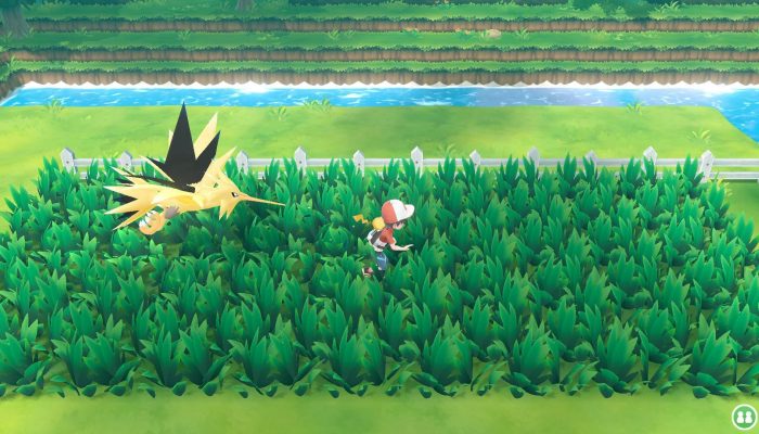 Walk around with Legendary Pokémon in the Pokémon Let’s Go games