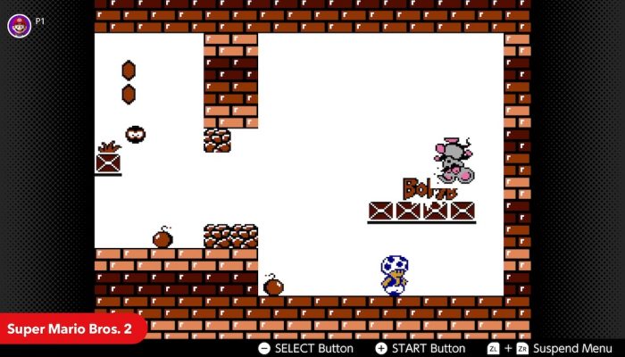 NES Nintendo Switch Online – February Game Updates