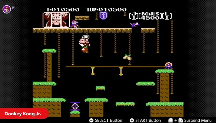 NES Nintendo Switch Online – May Game Updates