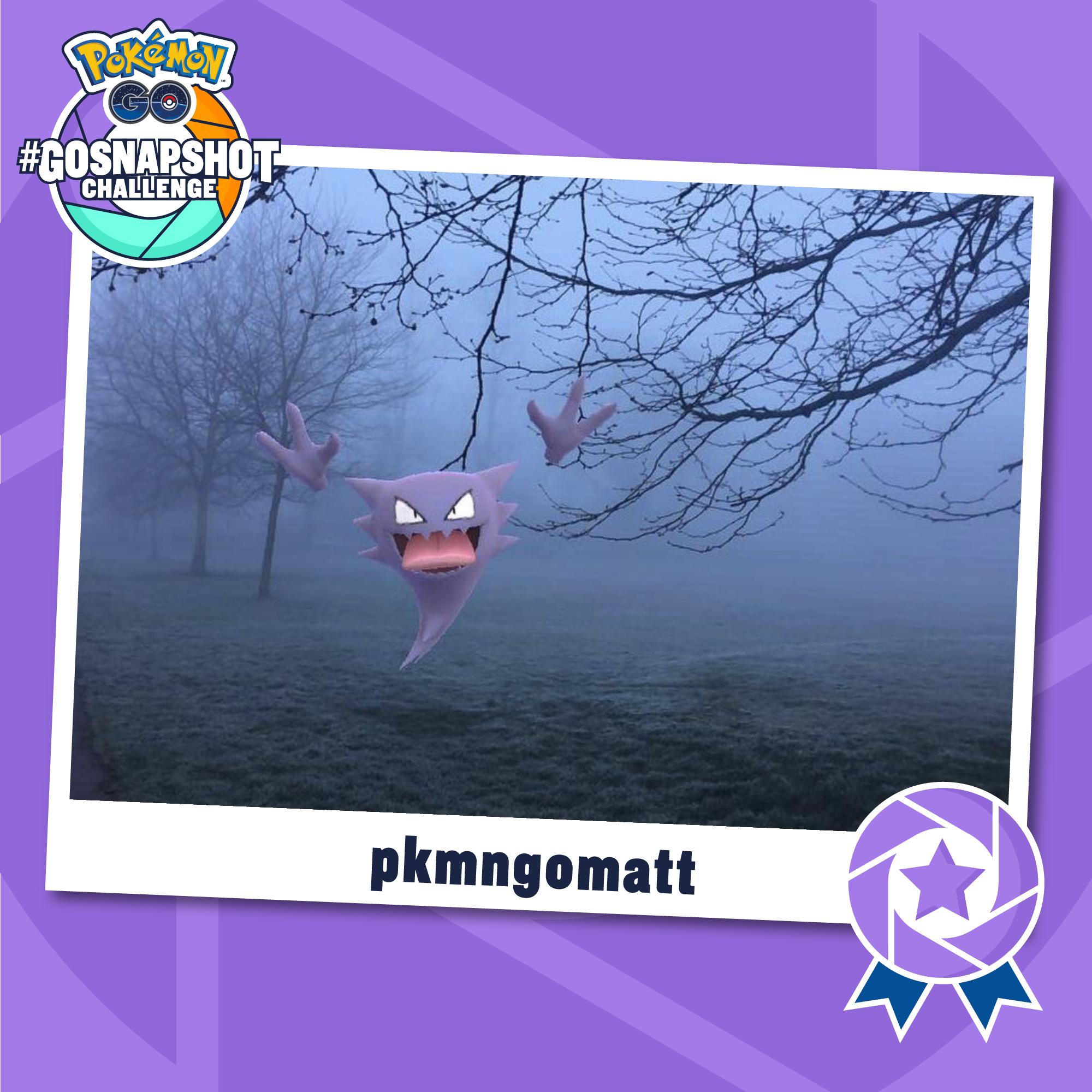 Here Are The Winners Of The Pok mon Go Snapshot Challenge NintendObserver