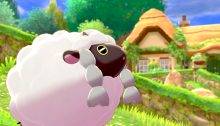 Pokémon Sword Shield