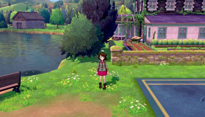 Pokémon Sword & Shield: ‘How to take on Max Raid Battles!’