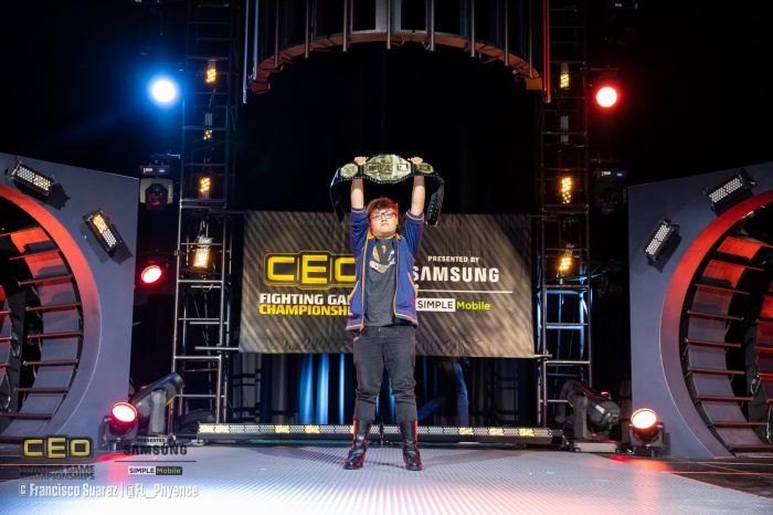 CEO 2019