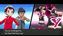 Pokémon Sword Shield