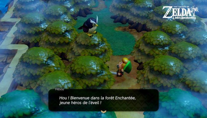 The Legend of Zelda: Link's Awakening - La légende raconte que