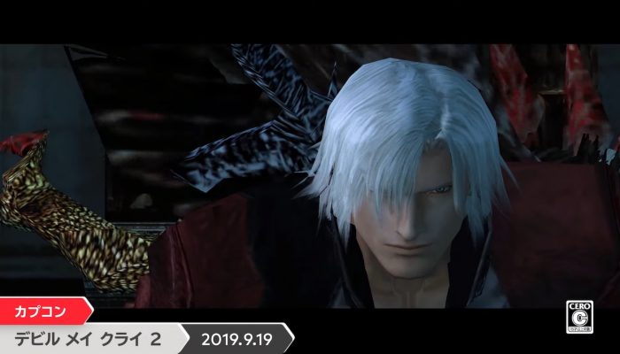 Devil May Cry franchise