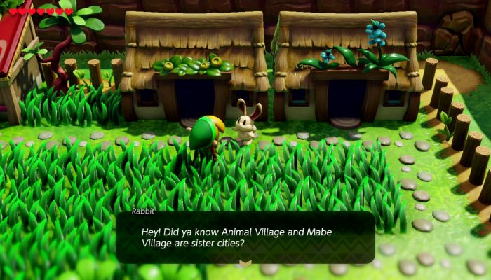 Discover the Animal Village in The Legend of Zelda Link’s Awakening