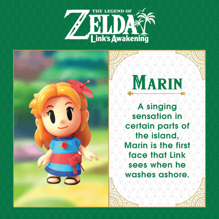 The Legend of Zelda Link's Awakening