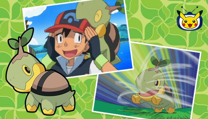 Pokémon: ‘Watch Turtwig in Pokémon the Series on Pokémon TV’