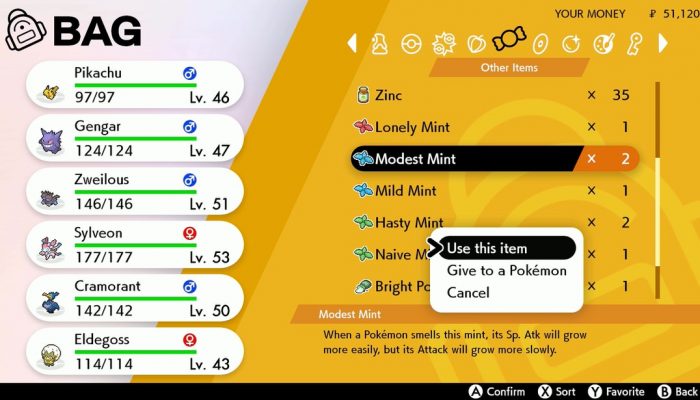 Pokémon Sword Shield: ‘Many brand-new items and features to help you raise your Pokémon!’