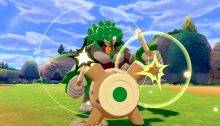 Pokémon Sword Shield