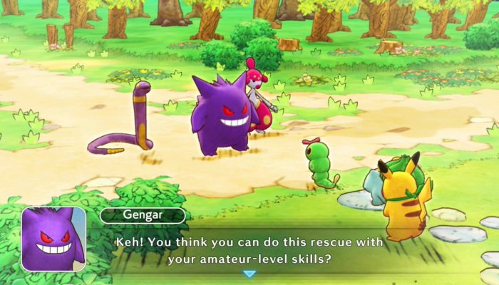 Check out some of the other rescue teams in Pokémon Mystery Dungeon Rescue Team DX