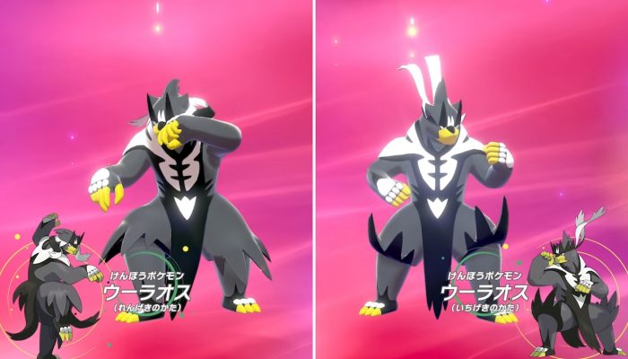 Pokémon Sword & Pokémon Shield Expansion Pass – Japanese News #01 Trailer