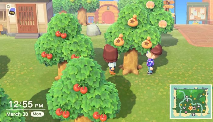Nintendo Minute – Touring Our Animal Crossing: New Horizons Islands!