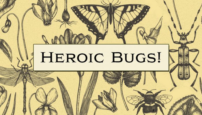 NoA: ‘Be the bee’s knees with these heroic bugs.’