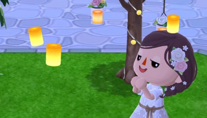 Animal Crossing: Pocket Camp – Butch’s Candlelit Cookie