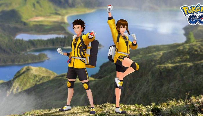 Check out these The Isle of Armor-inspired items in Pokémon Go