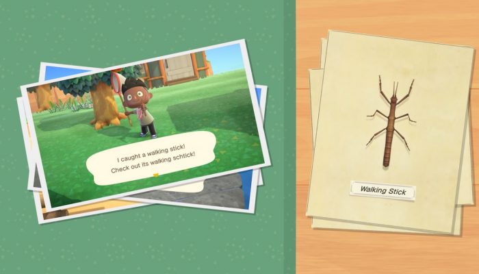 Animal Crossing: New Horizons – Exploring July