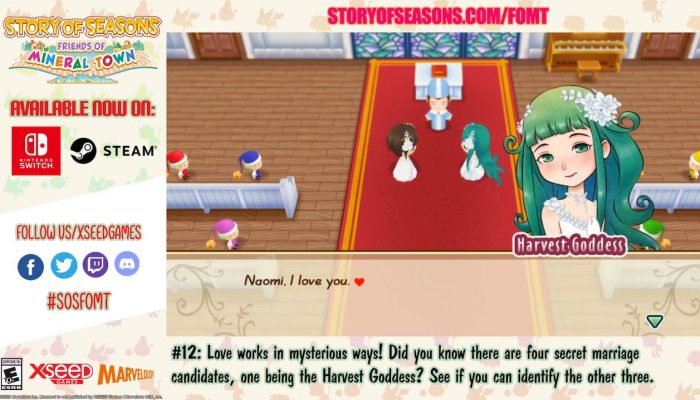 Story of Seasons: Friends of Mineral Town – Tips & Tricks