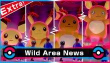 Pokémon Sword Shield
