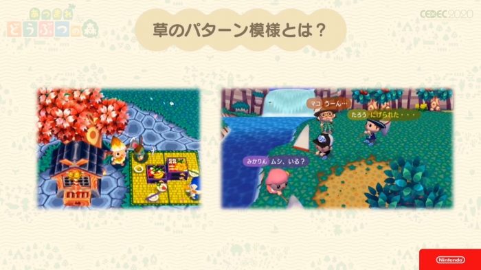 Animal Crossing New Horizons