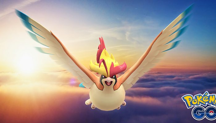 Mega Pidgeot has been unlocked Pokémon Go