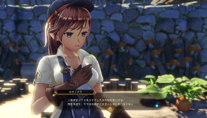 Atelier Ryza 2: Lost Legends & the Secret Fairy – Japanese New Characters and Combat Art and Screenshots