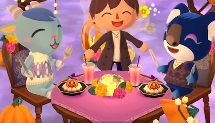 Animal Crossing: Pocket Camp – Chief’s Fall Feels Cookie