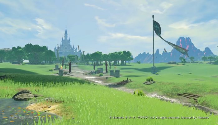 The Legend of Zelda franchise