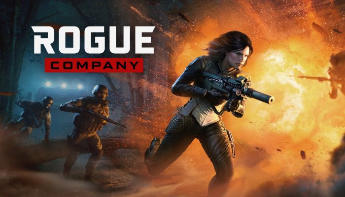 Rogue Company