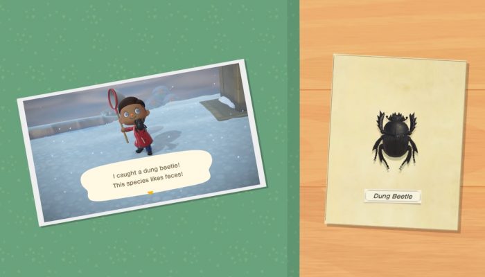 Animal Crossing: New Horizons – Exploring December