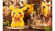 Pokémon Dramatic Collection